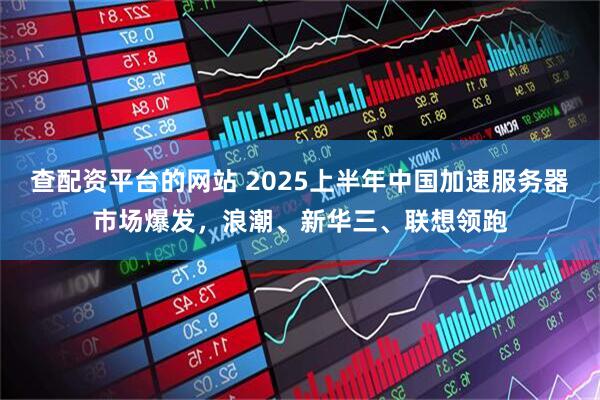 查配资平台的网站 2025上半年中国加速服务器市场爆发，浪潮、新华三、联想领跑