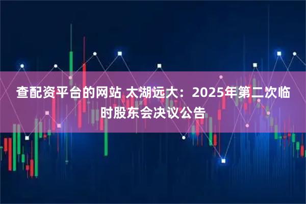 查配资平台的网站 太湖远大：2025年第二次临时股东会决议公告