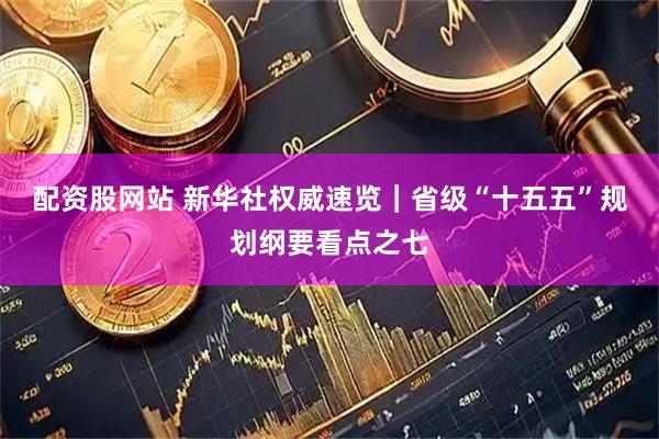 配资股网站 新华社权威速览｜省级“十五五”规划纲要看点之七