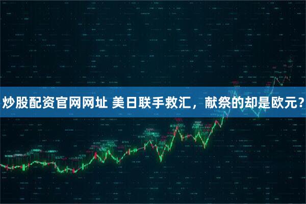 炒股配资官网网址 美日联手救汇，献祭的却是欧元？